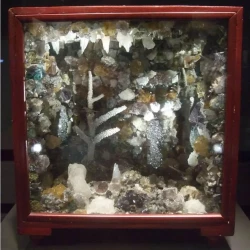 Spar Box restored by Friends Spar Box restored by Friends